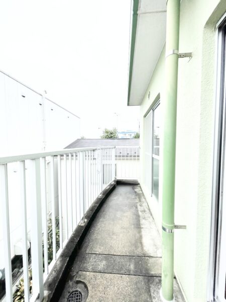 【2021年8月撮影】 【2021年8月撮影】