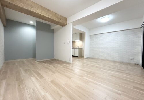 2駅利用可能な広ーい1LDK♪【リノベ賃貸  No.mg00039】