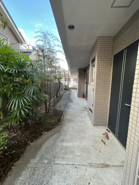 1階共用廊下 1階共用廊下